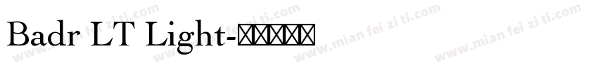 Badr LT Light字体转换